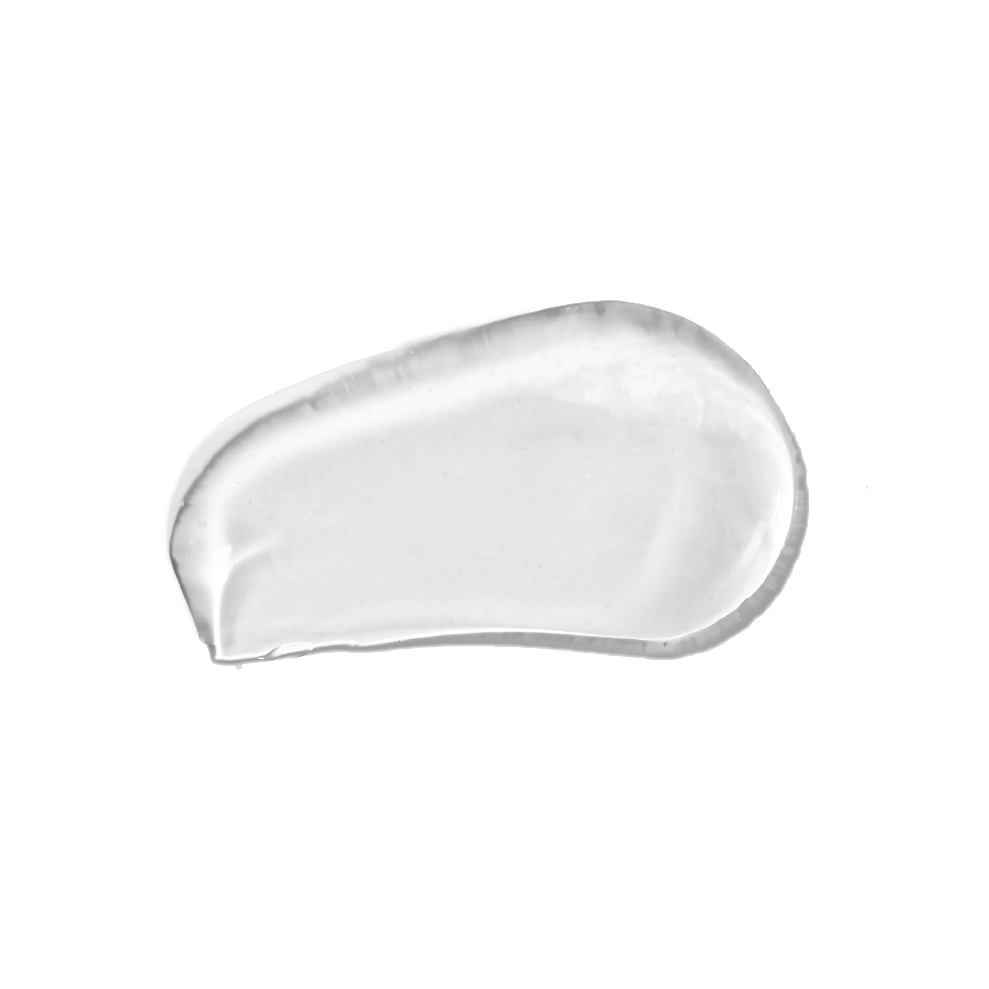 Una singola foglia verde su sfondo bianco.