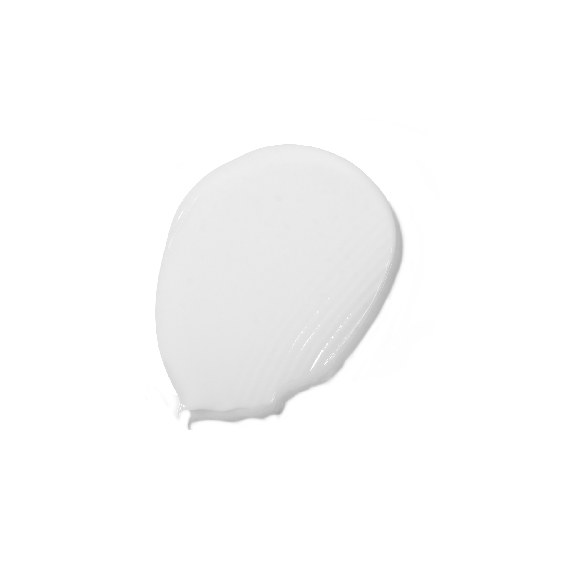 Una singola foglia verde su sfondo bianco.